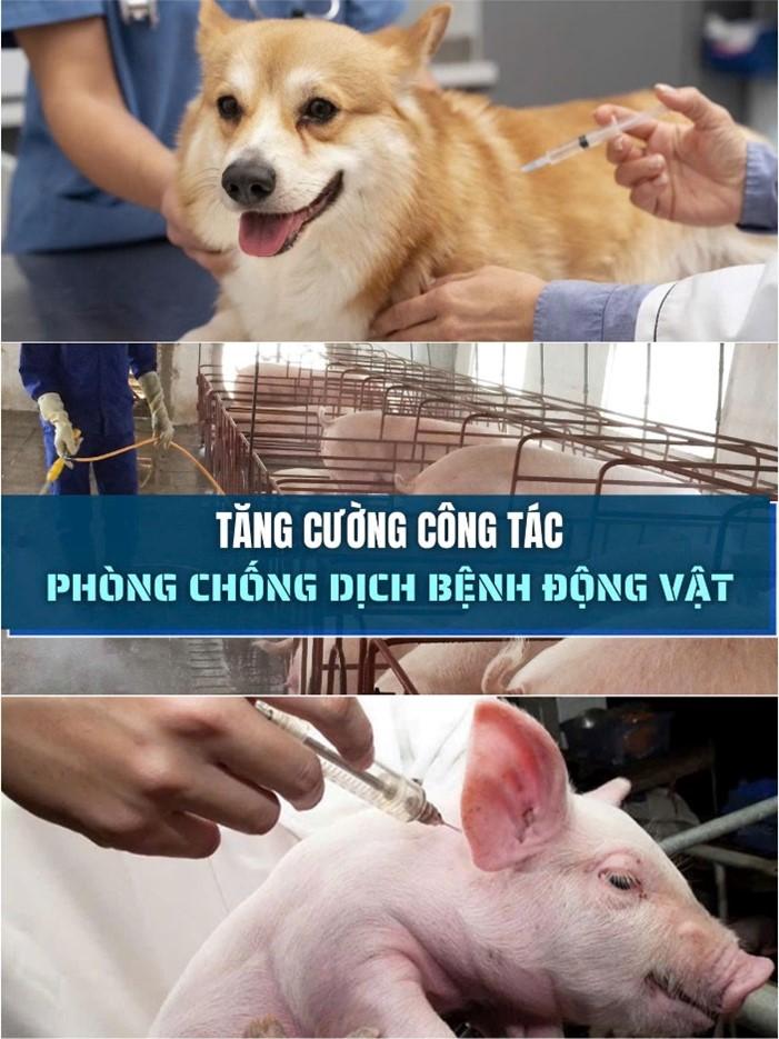TĂNG CƯỜNG CÔNG TÁC PHÒNG, CHỐNG DỊCH BỆNH ĐỘNG VẬT